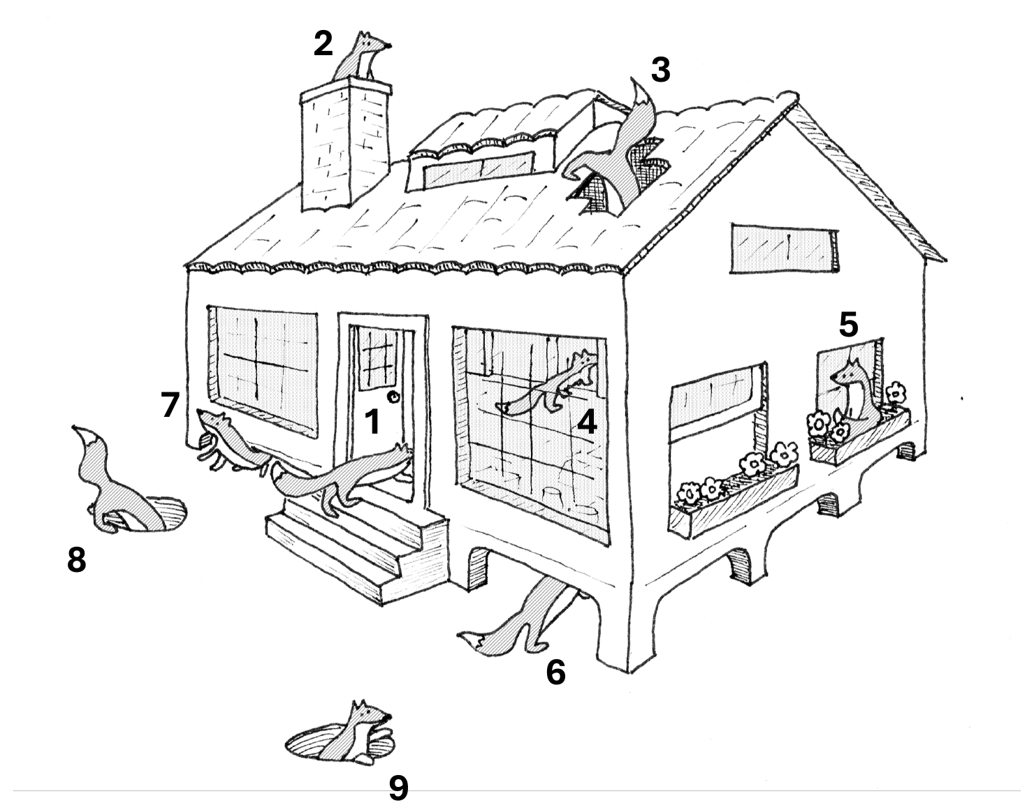 Line drawing of a house on stilts, with a fox drawn at nine numbered places: 1 entering the front door, 2 on top of the chimney, 3 coming through a hole in the roof, 4 at a window in the front wall, 5 in a flower box on the side wall, 6 under the house, 7 coming out from under the porch, 8 standing beside the house, 9 in a hole in the ground.