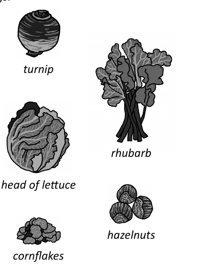 Reference illustrations of five foods: a turnip, a head of lettuce, cornflakes, rhubarb, and hazelnuts.