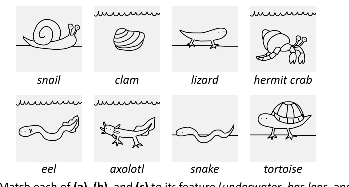 Eight labelled line drawings: snail, clam, lizard, hermit crab, eel, axolotl, snake, tortoise. A wavy line above an animal indicates it is underwater.
